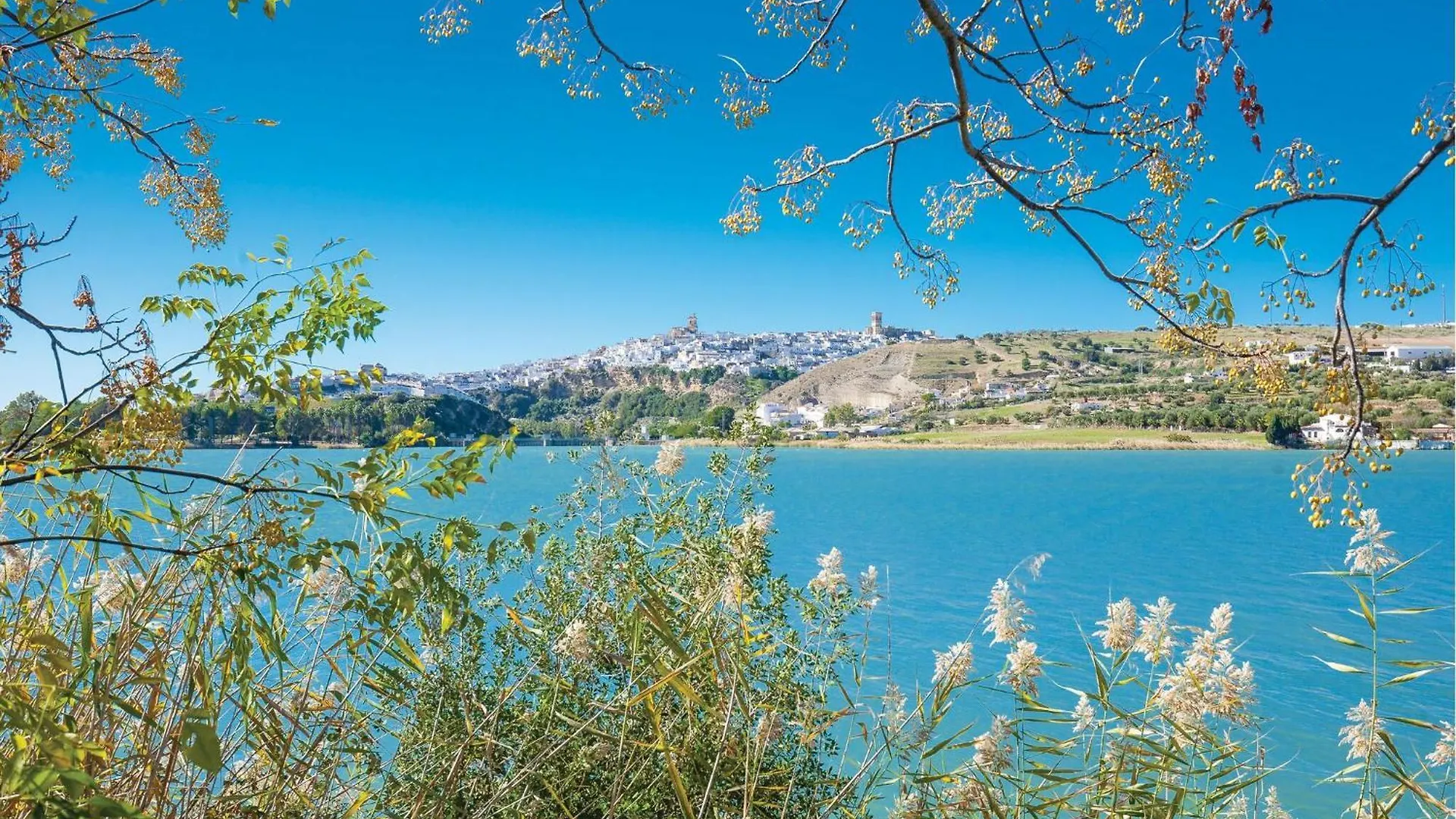 Gorgeous Apartment In Arcos De La Frontera